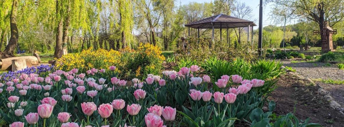 15 фотографий ботанического сада в Ростове-на-Дону с высоты птичьего полёта