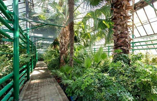 Ботанический сад в Ростове-на-Дону