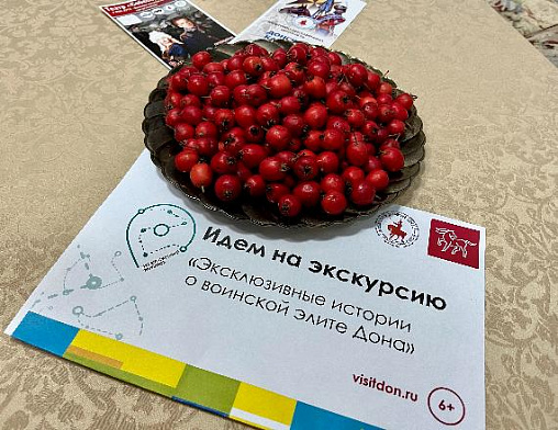 Более 500 жителей и гостей Вольного Дона посетили бесплатные экскурсии в рамках всероссийского флешмоба