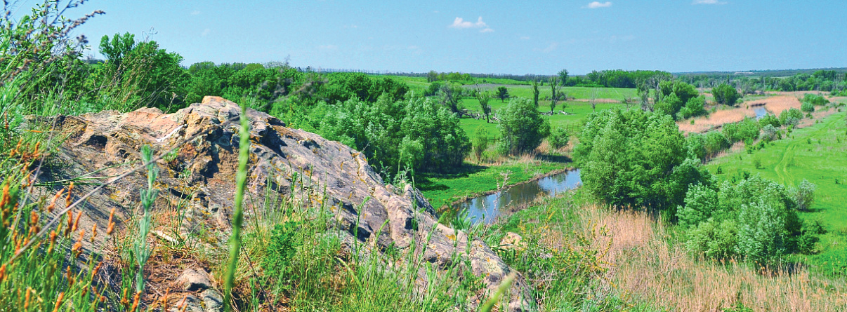 Заказник горненский